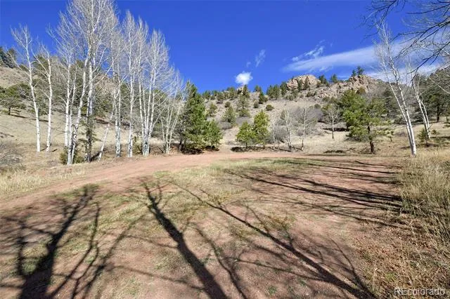 221 Floresta Florissant, CO 80816
