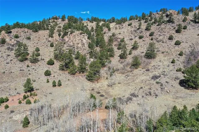 221 Floresta Florissant, CO 80816