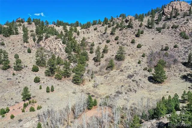 221 Floresta Florissant, CO 80816
