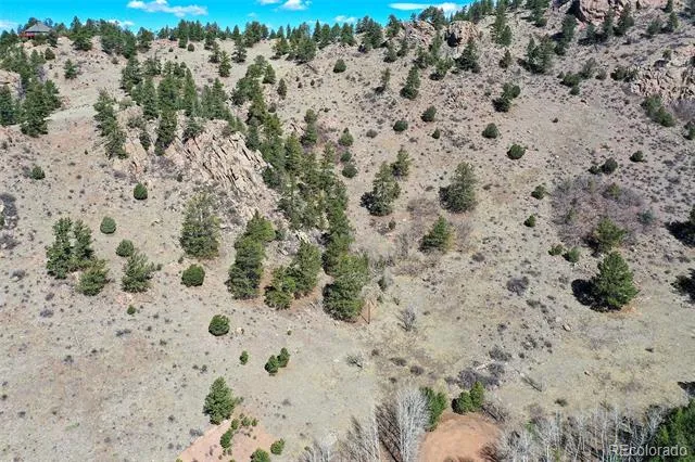 221 Floresta Florissant, CO 80816