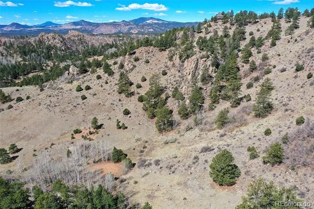 221 Floresta Florissant, CO 80816