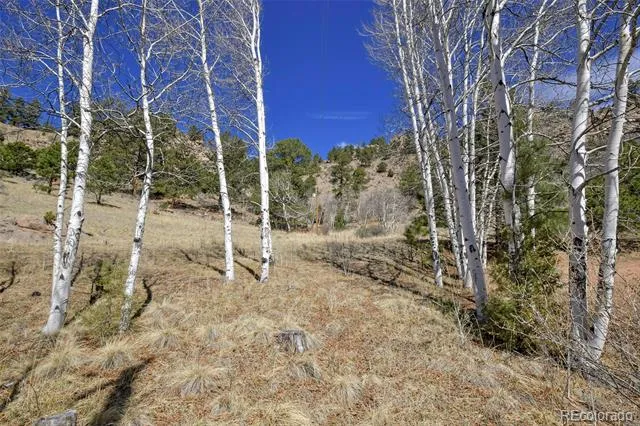 221 Floresta Florissant, CO 80816