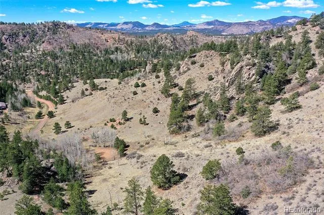 221 Floresta Florissant, CO 80816