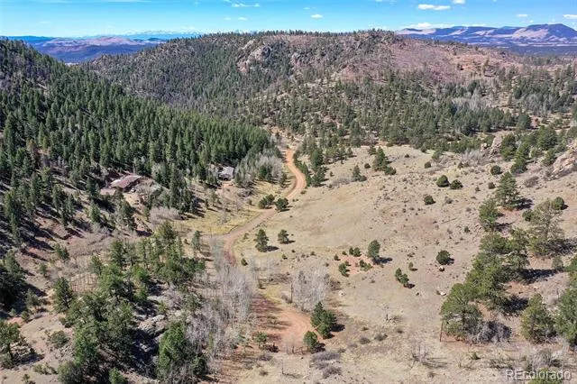 221 Floresta Florissant, CO 80816