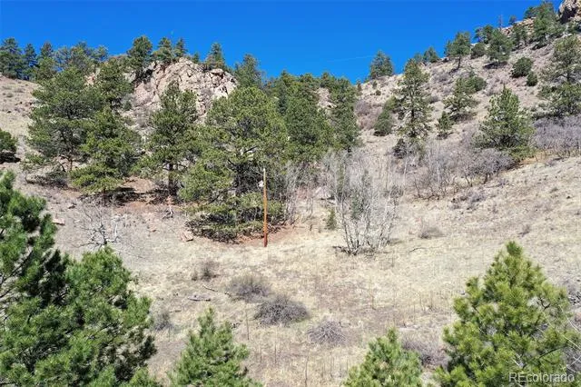 221 Floresta Florissant, CO 80816