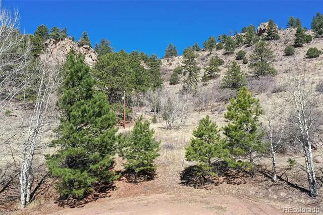 221 Floresta Florissant, CO 80816