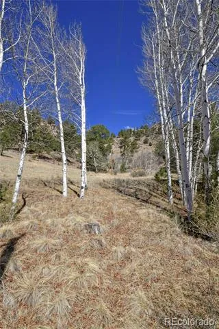 221 Floresta Florissant, CO 80816