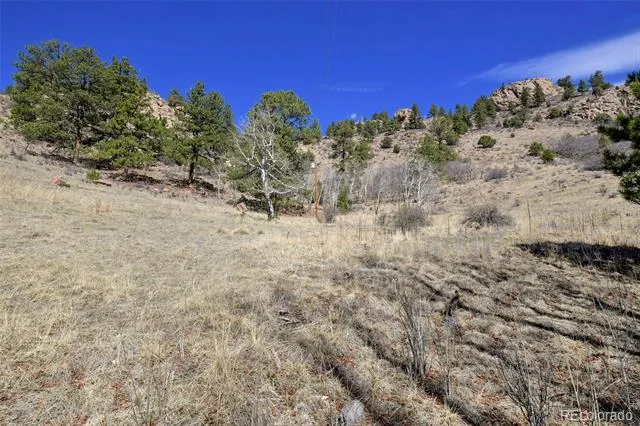 221 Floresta Florissant, CO 80816