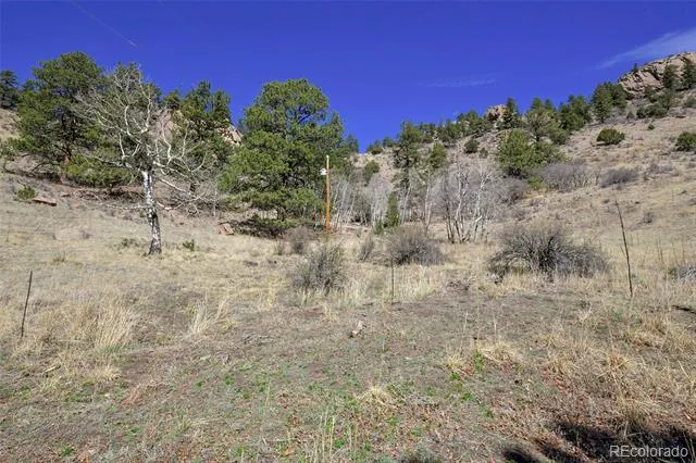 221 Floresta Florissant, CO 80816