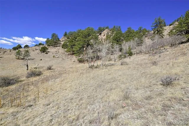 221 Floresta Florissant, CO 80816