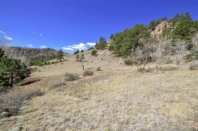 221 Floresta Florissant, CO 80816