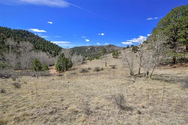 221 Floresta Florissant, CO 80816
