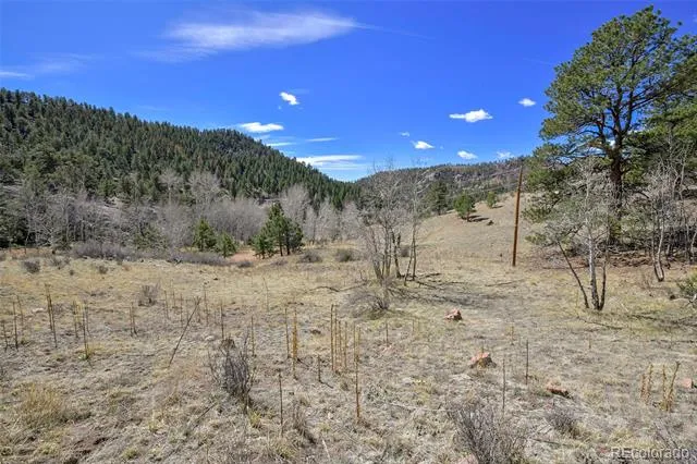 221 Floresta Florissant, CO 80816