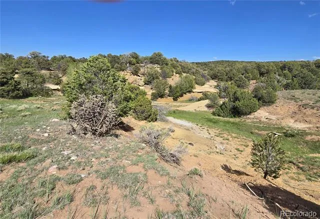 90 River Ridge Ranch Walsenburg, CO 81089