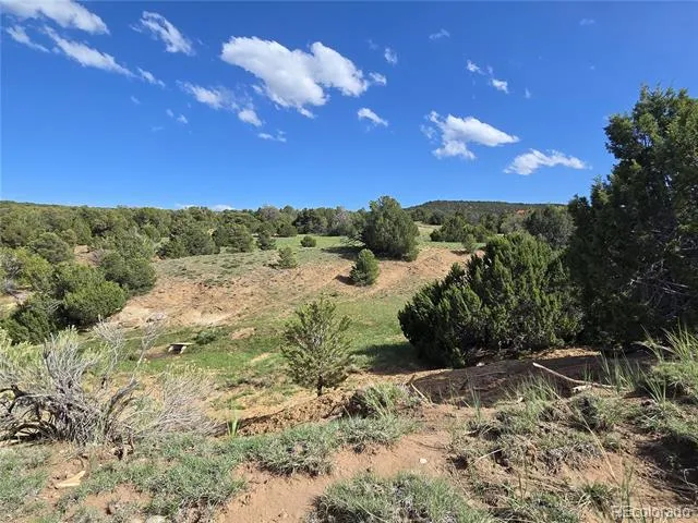 90 River Ridge Ranch Walsenburg, CO 81089