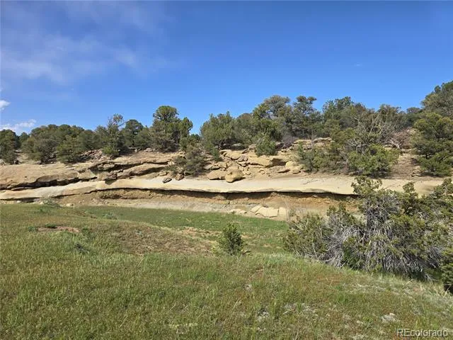 90 River Ridge Ranch Walsenburg, CO 81089