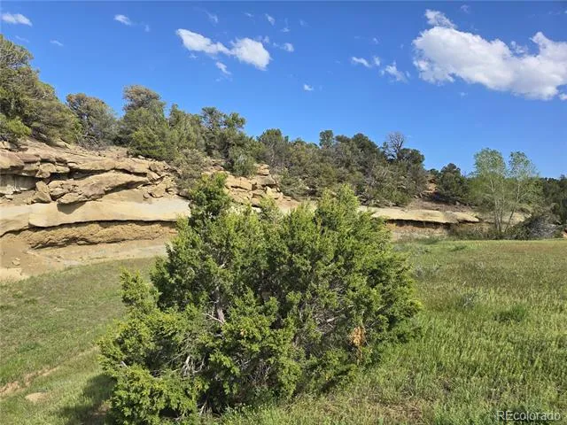 90 River Ridge Ranch Walsenburg, CO 81089