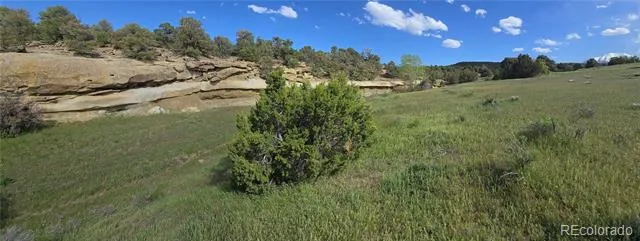 90 River Ridge Ranch Walsenburg, CO 81089