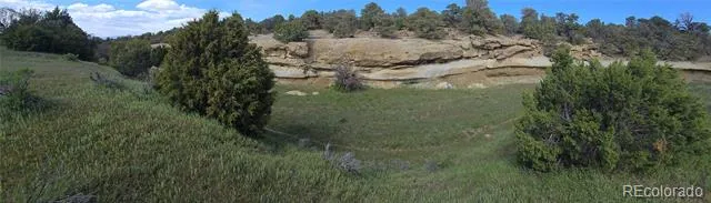 90 River Ridge Ranch Walsenburg, CO 81089