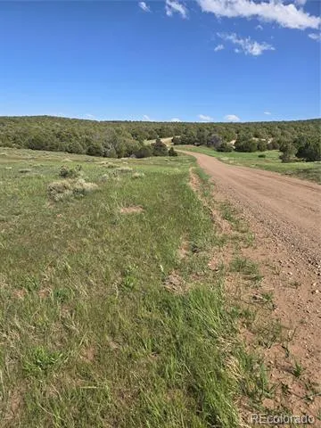90 River Ridge Ranch Walsenburg, CO 81089