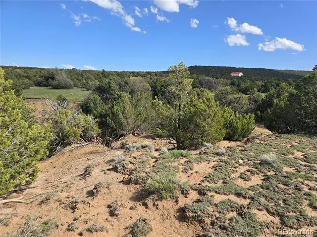 90 River Ridge Ranch Walsenburg, CO 81089