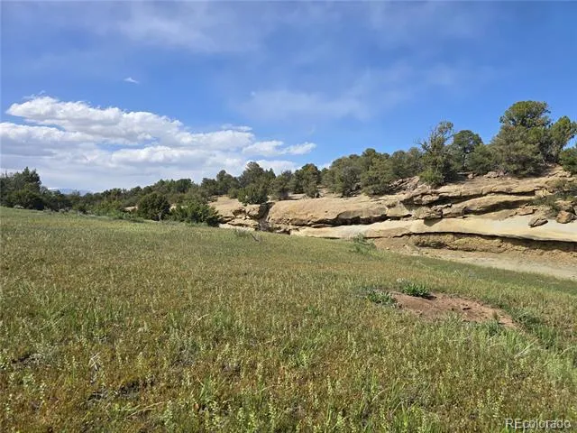 90 River Ridge Ranch Walsenburg, CO 81089