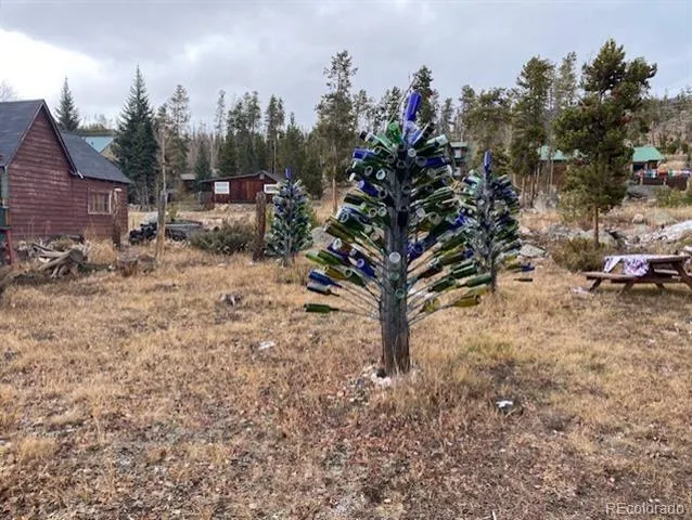 1124 Mountain Avenue Grand Lake, CO 80447