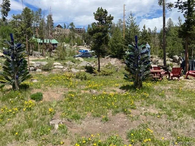 1124 Mountain Avenue Grand Lake, CO 80447