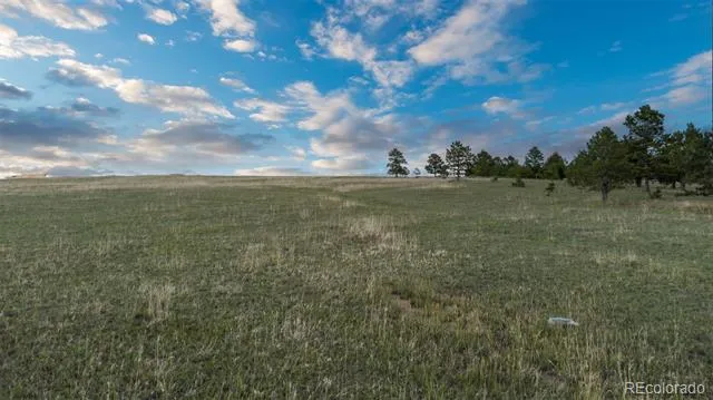 Bison Meadows Court Colorado Springs, CO 80908