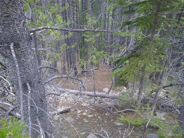 Lot #440 Hillside Road Idaho Springs, CO 80452