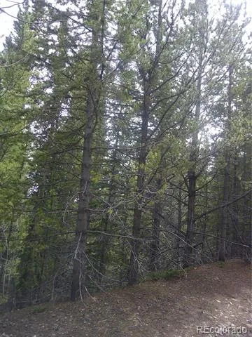 Lot #440 Hillside Road Idaho Springs, CO 80452