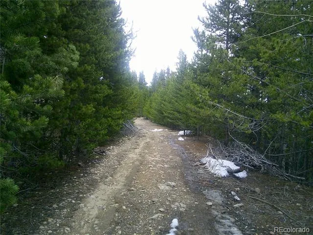 Lot #440 Hillside Road Idaho Springs, CO 80452