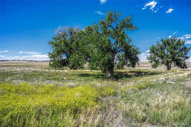 Fiddleback Ranch Road Kiowa, CO 80117