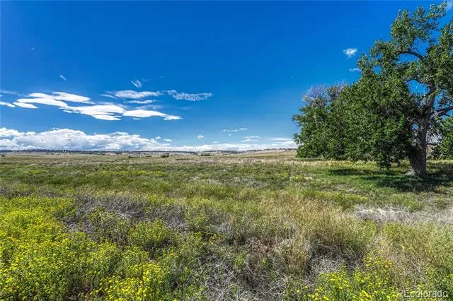 Fiddleback Ranch Road Kiowa, CO 80117