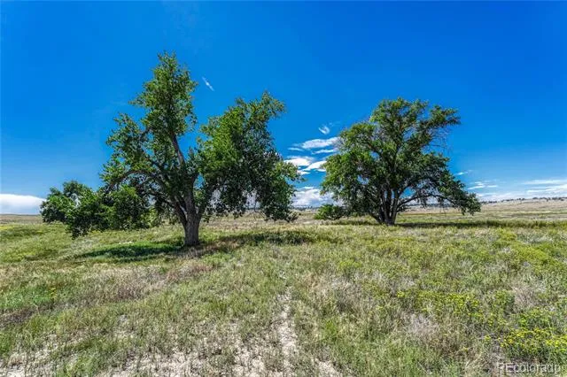 Fiddleback Ranch Road Kiowa, CO 80117