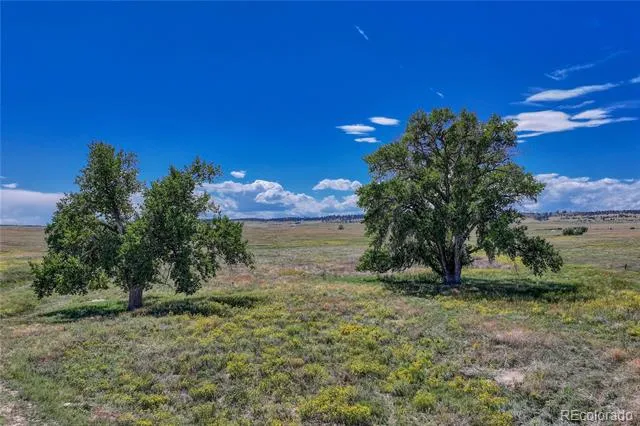 Fiddleback Ranch Road Kiowa, CO 80117