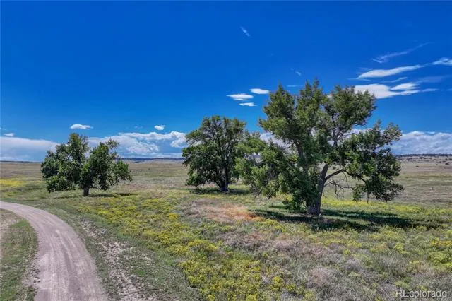 Fiddleback Ranch Road Kiowa, CO 80117