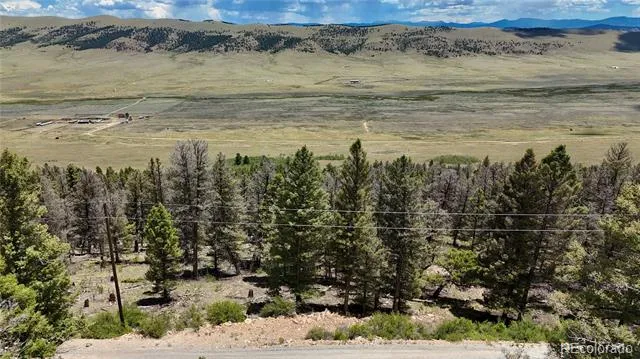 1348 Middle Fork Vista Fairplay, CO 80440