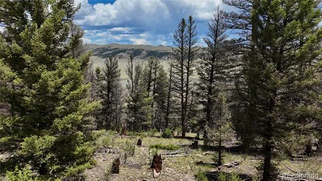1348 Middle Fork Vista Fairplay, CO 80440