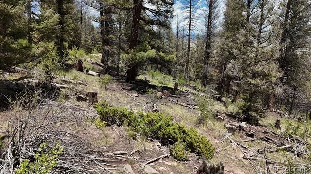 1348 Middle Fork Vista Fairplay, CO 80440