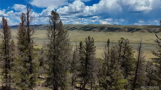 1348 Middle Fork Vista Fairplay, CO 80440