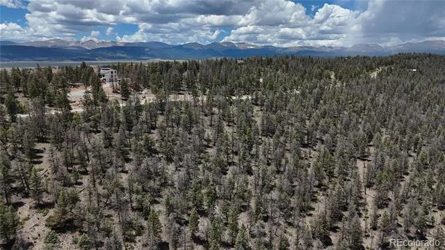 1348 Middle Fork Vista Fairplay, CO 80440