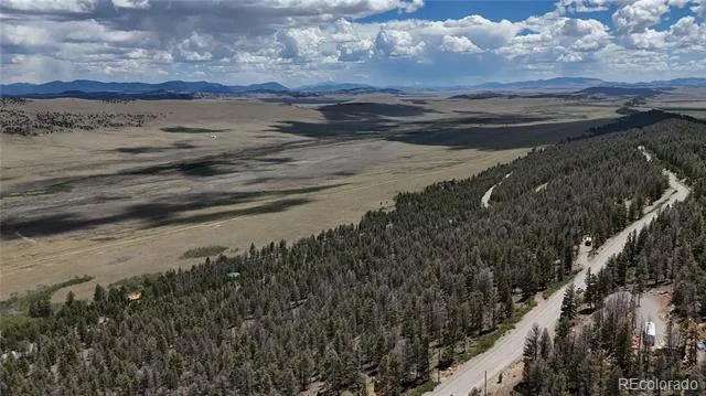 1348 Middle Fork Vista Fairplay, CO 80440