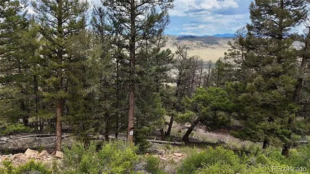 1348 Middle Fork Vista Fairplay, CO 80440