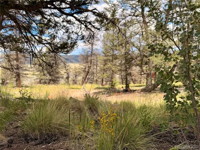 1348 Middle Fork Vista Fairplay, CO 80440