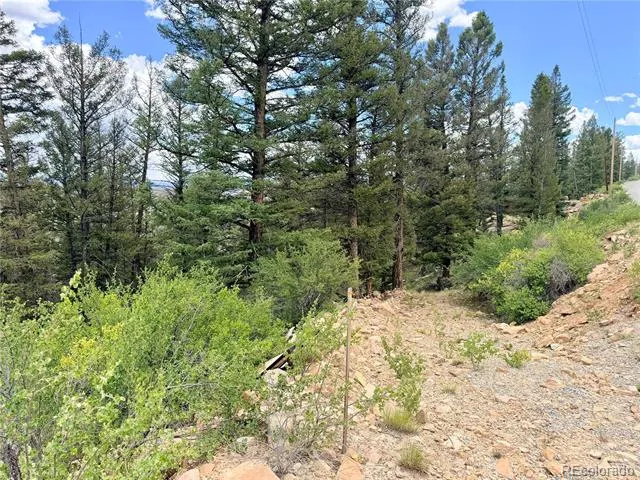 1348 Middle Fork Vista Fairplay, CO 80440