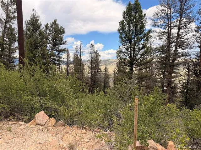 1348 Middle Fork Vista Fairplay, CO 80440