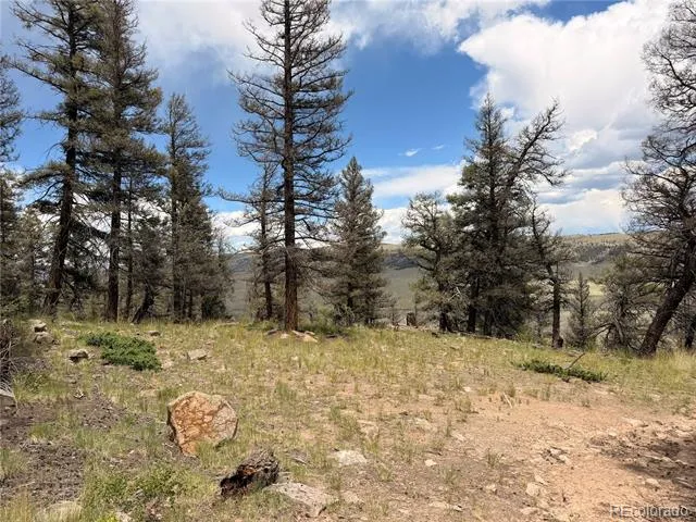 1348 Middle Fork Vista Fairplay, CO 80440