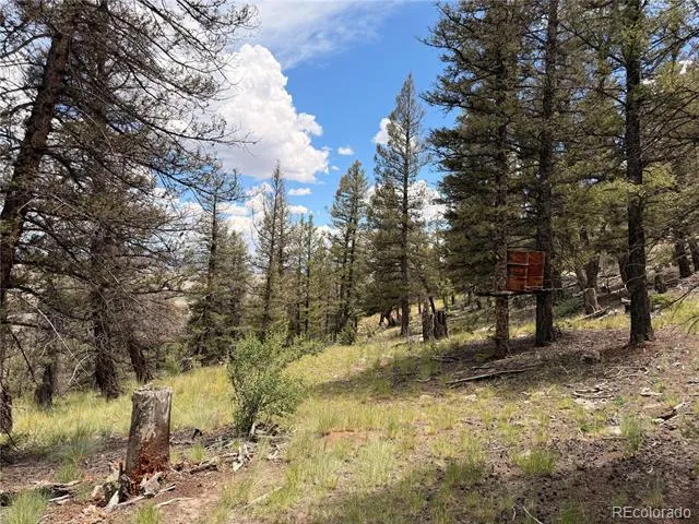 1348 Middle Fork Vista Fairplay, CO 80440