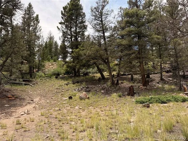 1348 Middle Fork Vista Fairplay, CO 80440